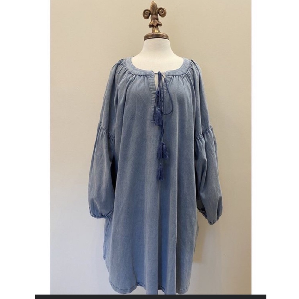 Plus Sized Denim Dress